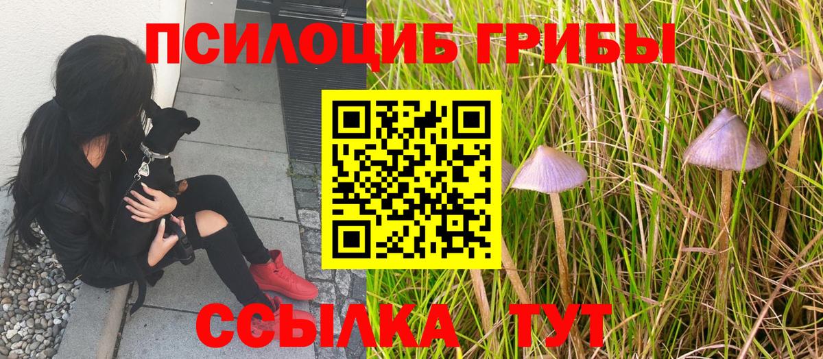 Миллерово  Галлюциногенные грибы Magic Shrooms  Вход с VPN  что такое   Галлюциногенные грибы GOLDEN TEACHER 